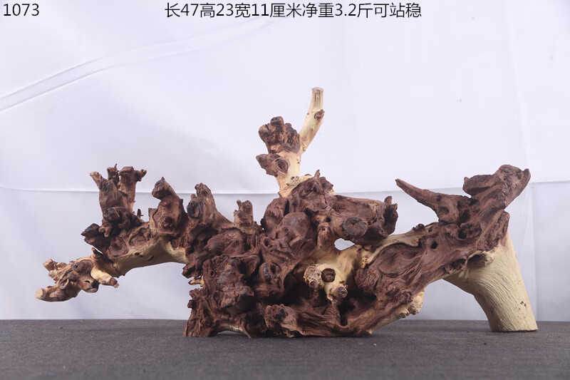 b92a7aaf5a231919.jpg