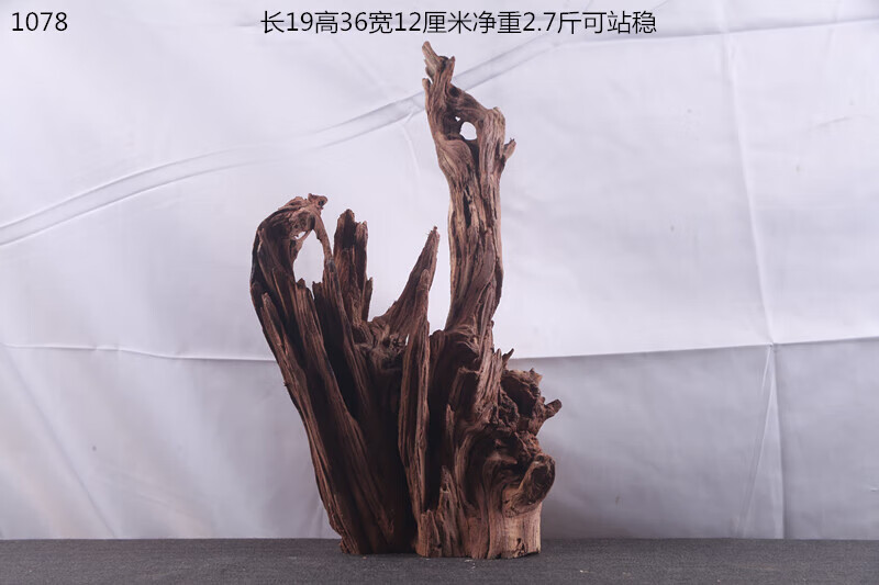 45a77fb493d05636.jpg