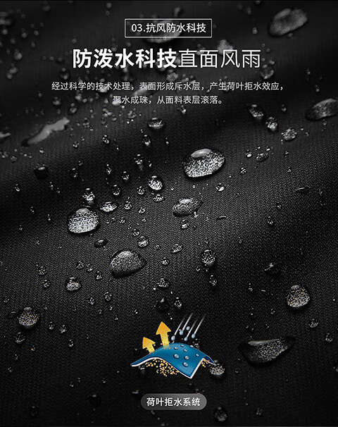 25f70510e023143e.jpg