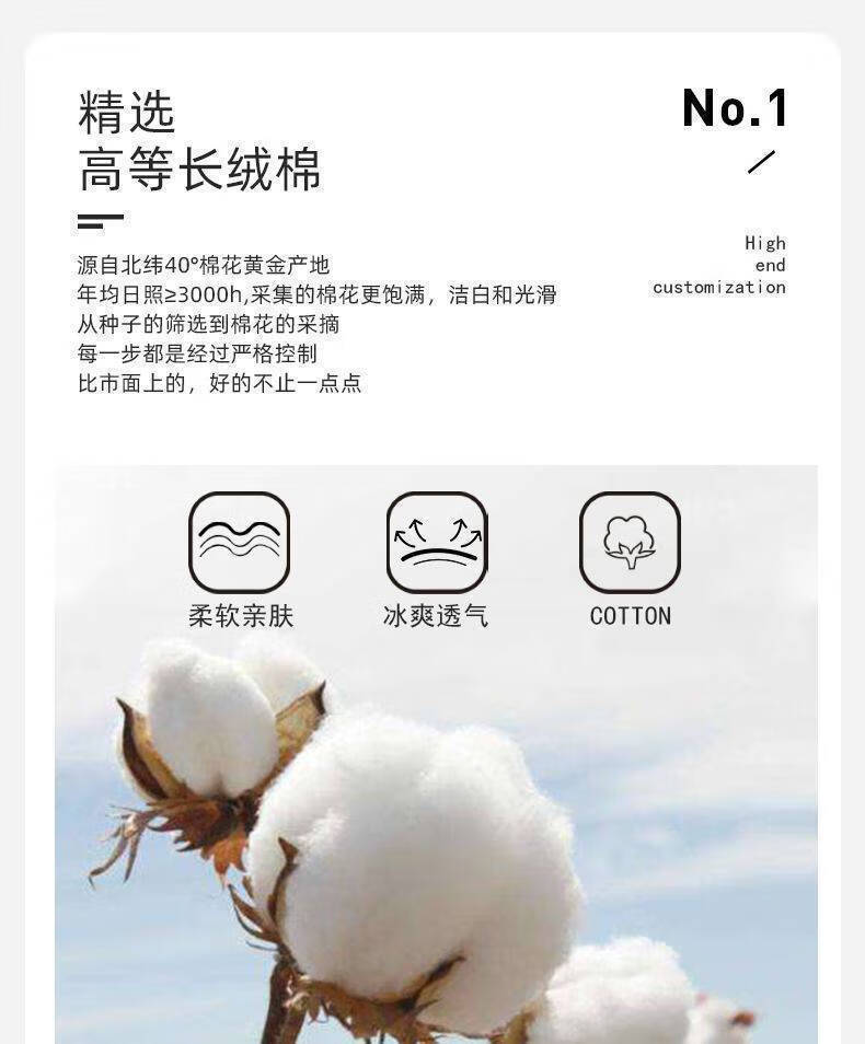 53e860dafe900221.jpg