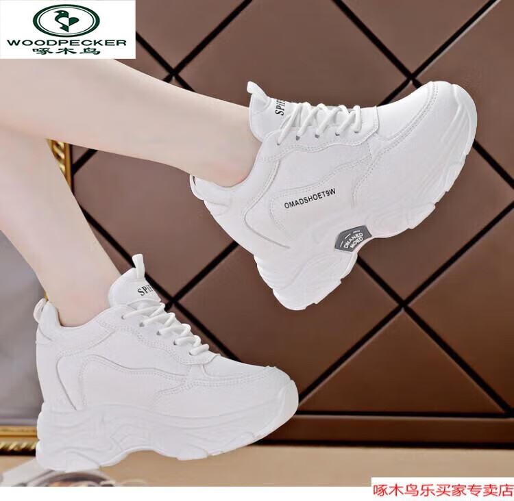 a3c636bf8d440d88.jpg