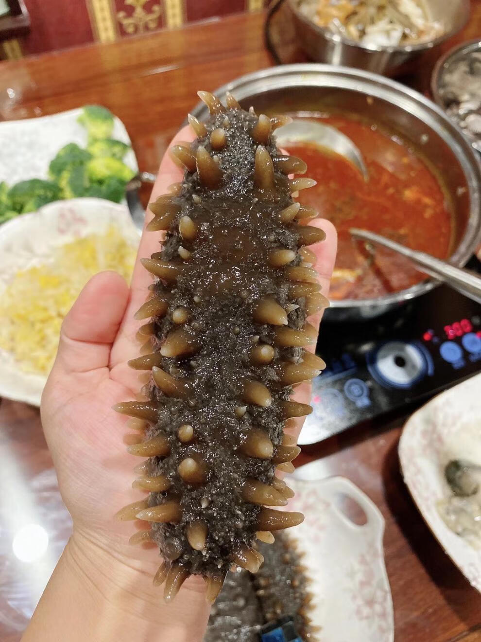 特选日本北海道野生关东海参干货六排刺纯淡干俄罗斯红参大连 500g特