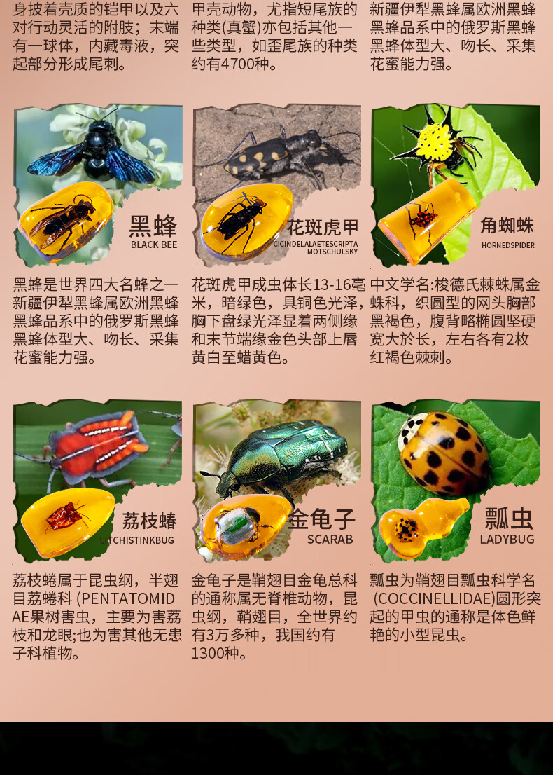 a11a1cdb904265d0.jpg
