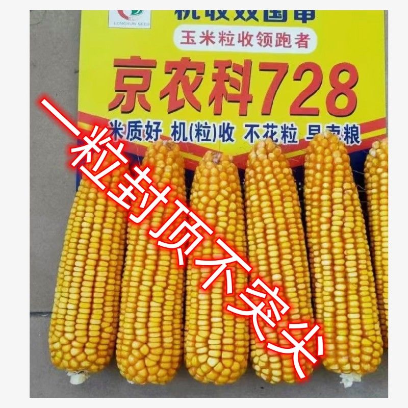 1e27c4d6e8aea1bc.jpg