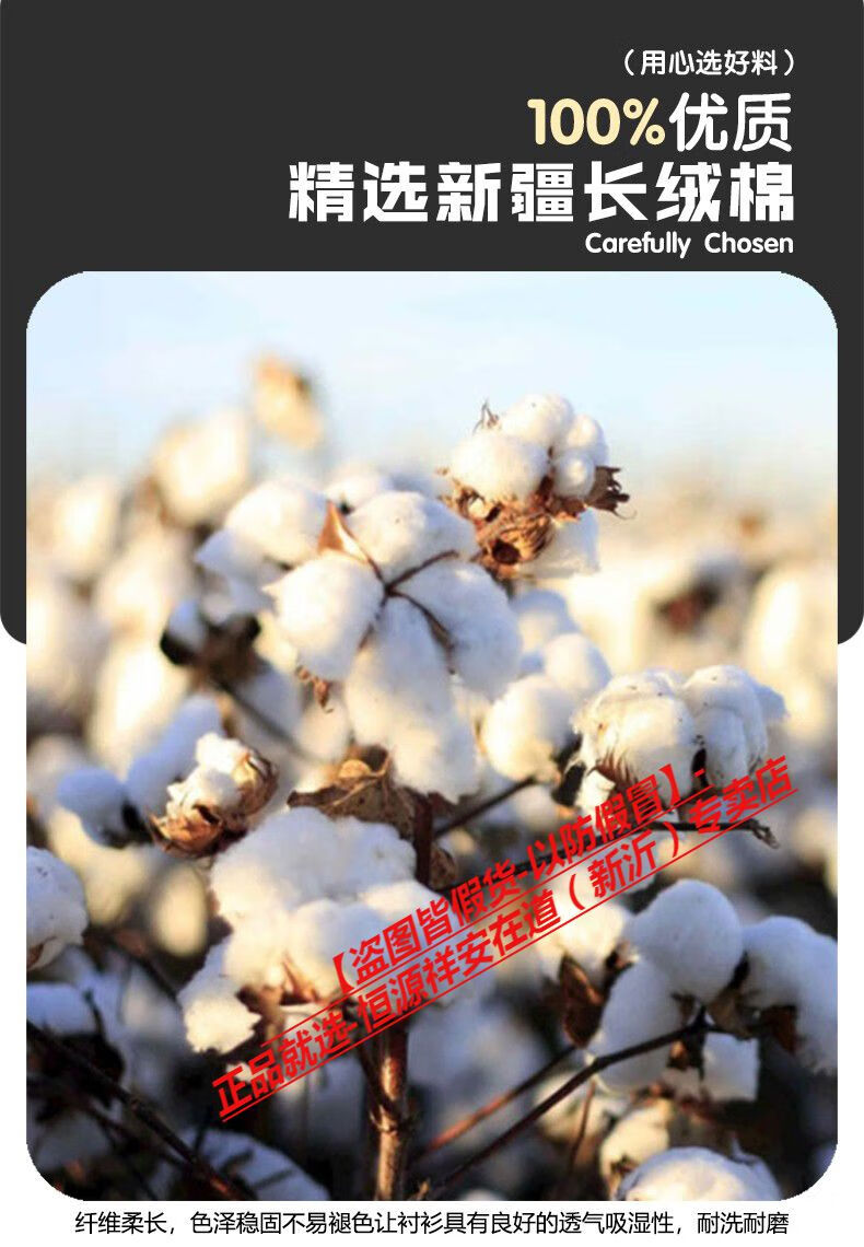 d38ea759597ad3b9.jpg