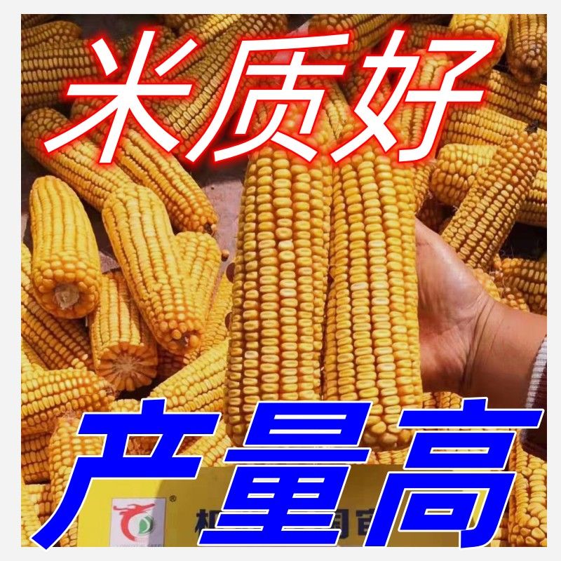 125fbe5a0a110c47.jpg