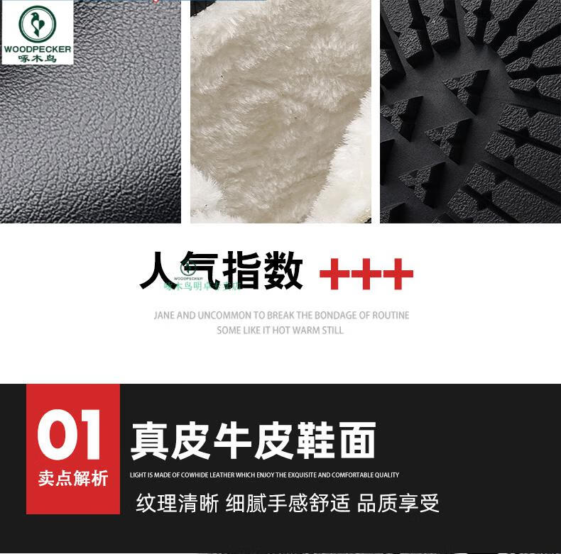 e6689111ad9407ca.jpg