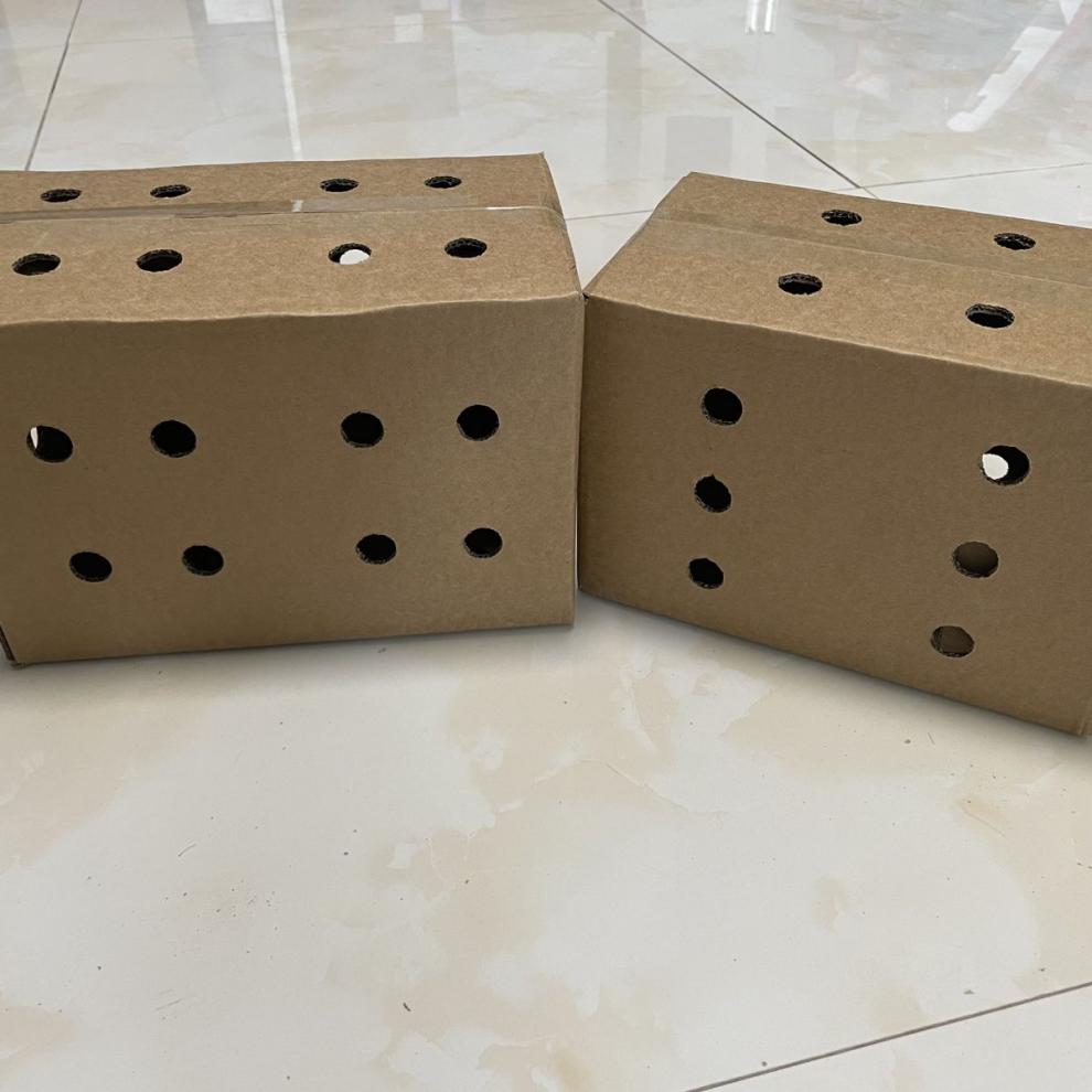 打孔纸箱开孔纸箱活体纸箱活物纸盒搬家快递打包大箱子定做定制 五层