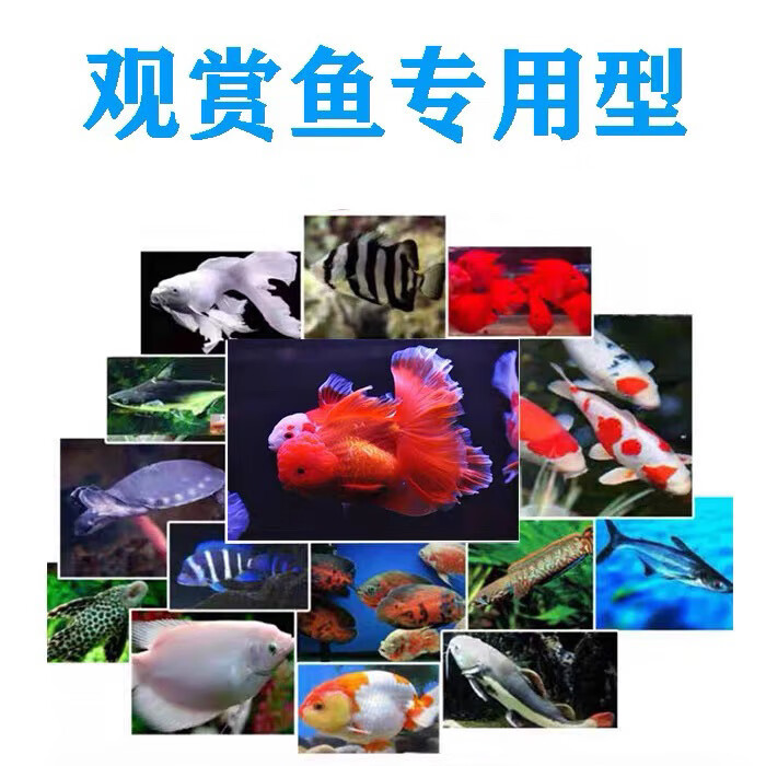 04df577dedfe082e.jpg