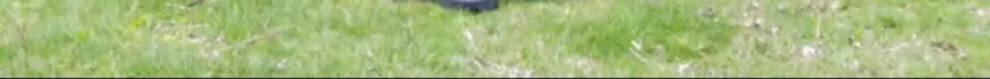 c82d54aab41d89cb.jpg