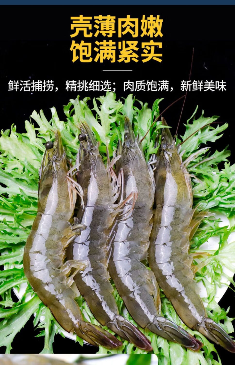 青岛大虾鲜活盐冻大虾特大号批发一箱对虾基围虾白虾海捕大虾 14-17