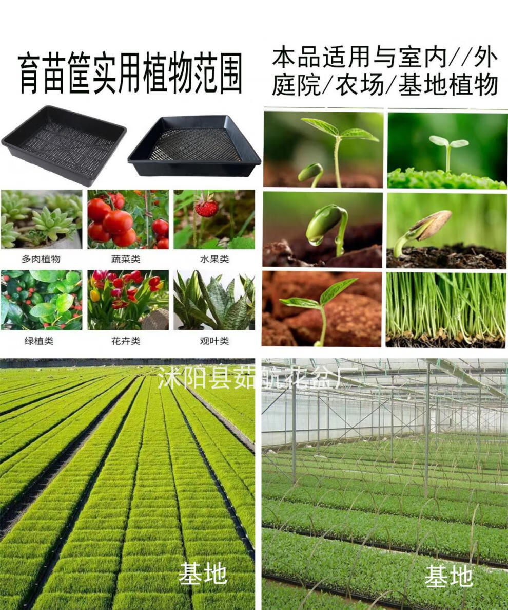 8ab4242355a6704d349c26ed237da0c6.jpeg