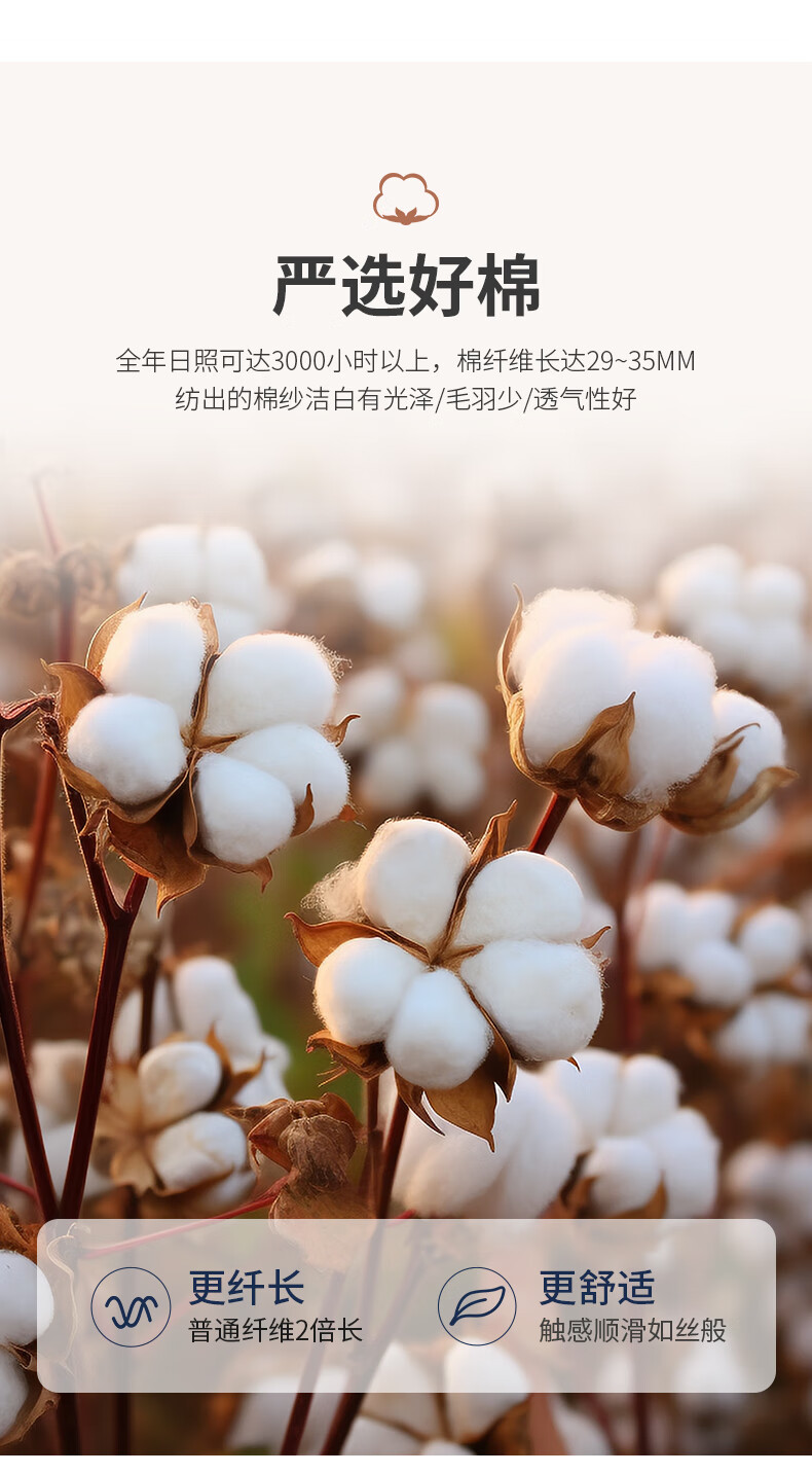 906417d9e55f3a8c.jpg