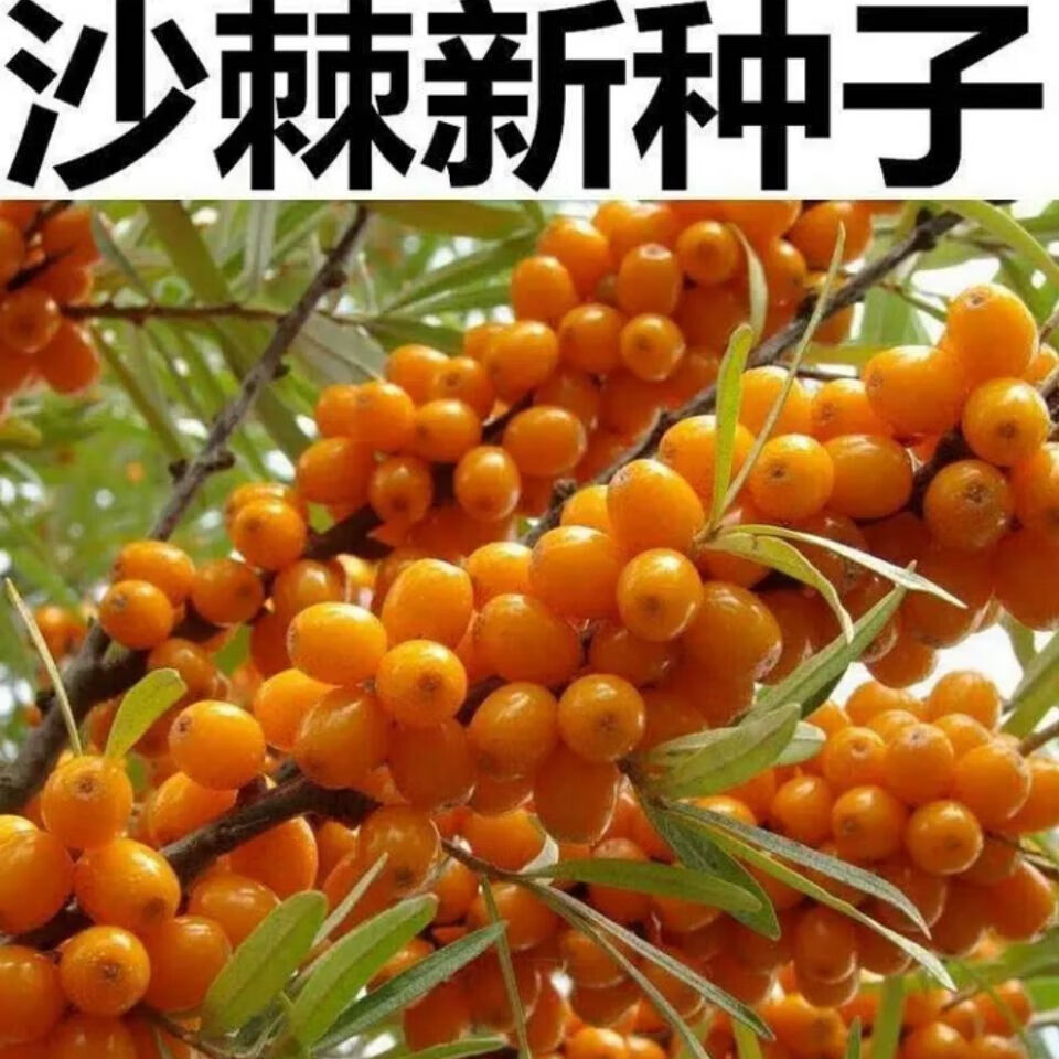 922ddc1c9715c7b2.jpg