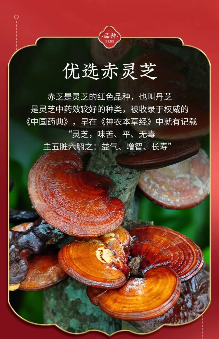 3430ccb8ed53049a.jpg