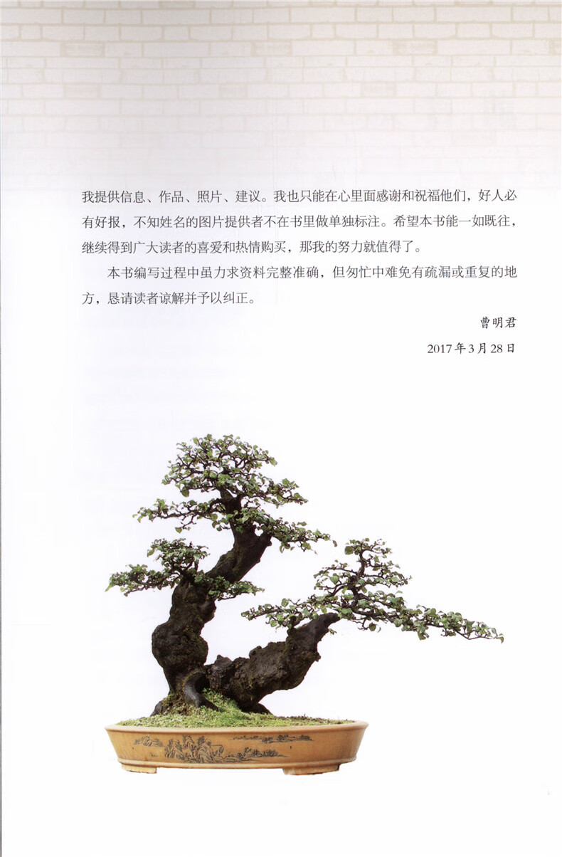 金彈子樹樁盆景論述金彈子的實力著作盆景書入門修剪盆景造型書花卉