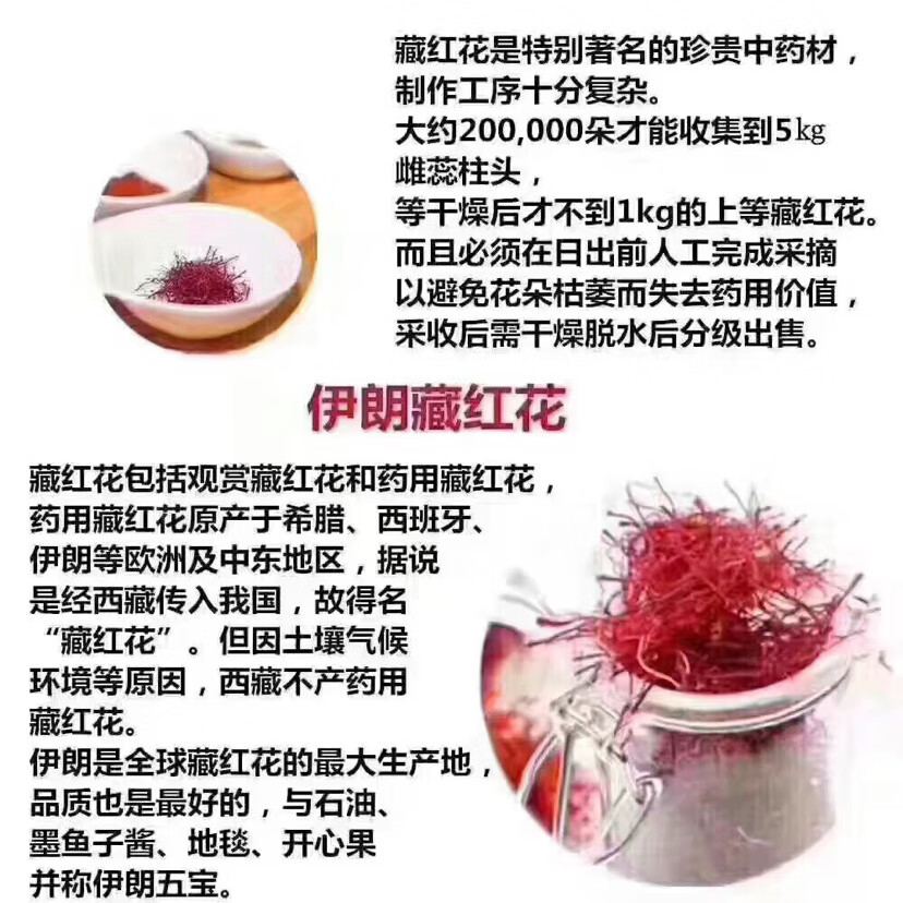 9d8a08aa2e372bf2.jpg
