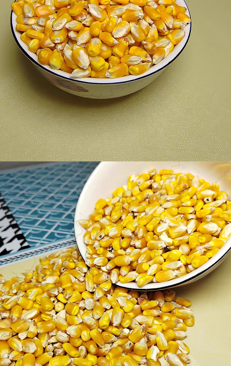 a2a18ecfcc97095c.png