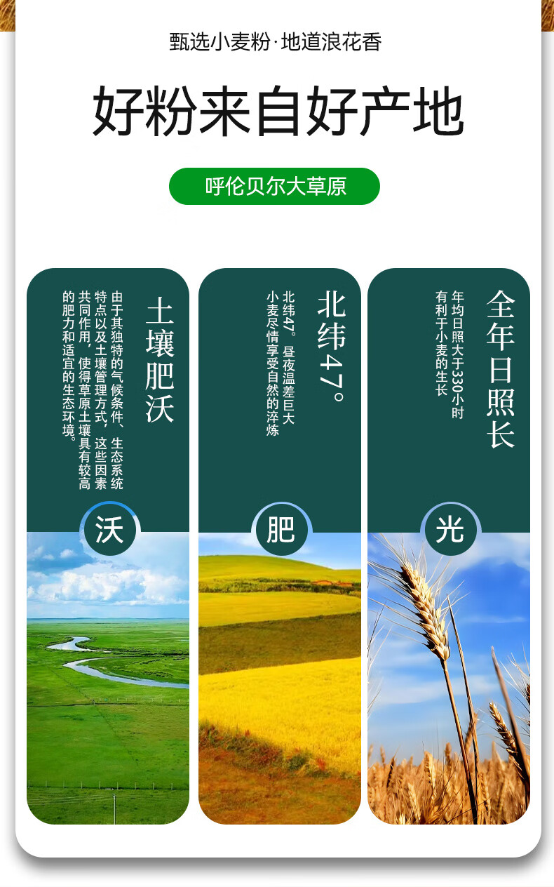 cd402c27197bb085.jpg