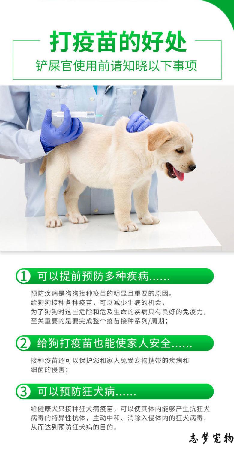 顺丰快递英特威二四六联狗疫苗套餐幼犬成犬通用型犬瘟细小狂犬病二联