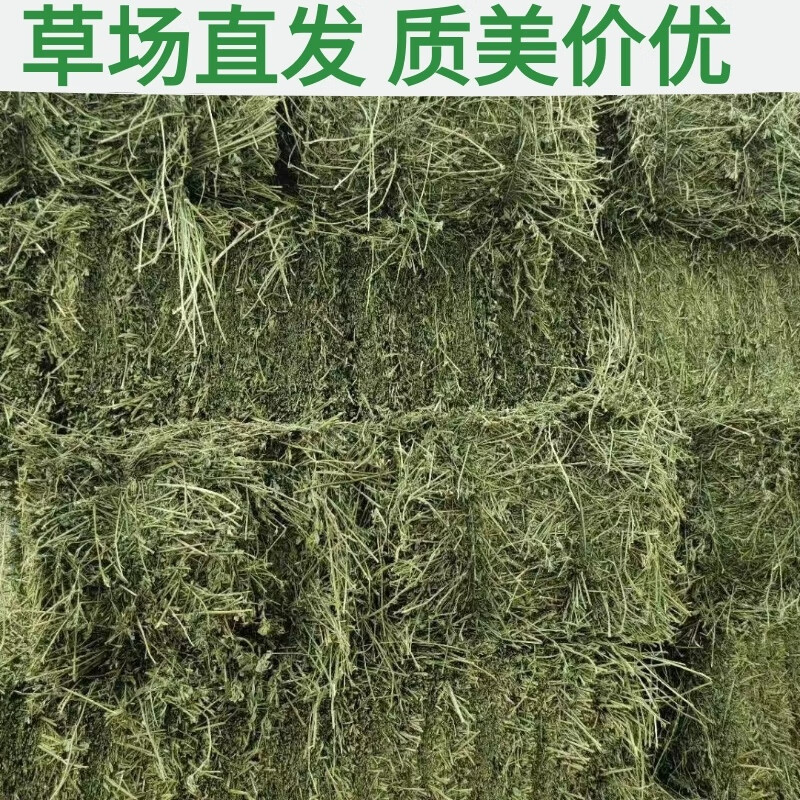 f3c0a8016990468e.jpg
