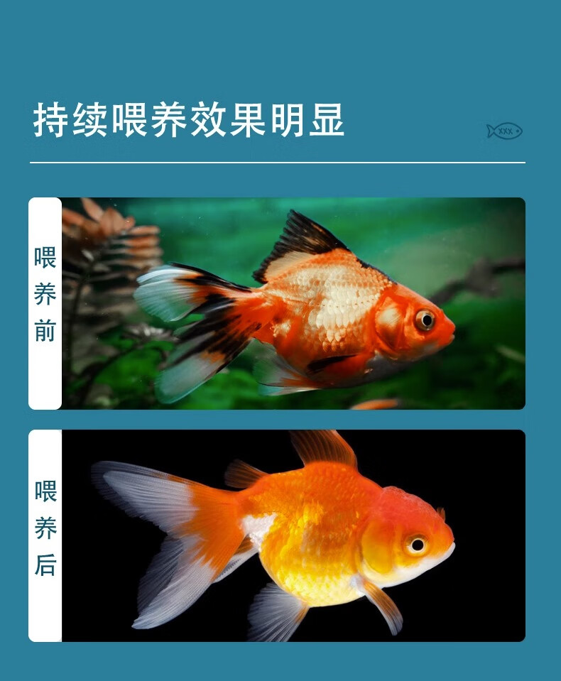 24226bdeba5e42a4.jpg
