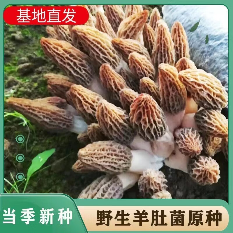3d0e54e9-d4b6-4107-a55b-27b13c106878.jpe