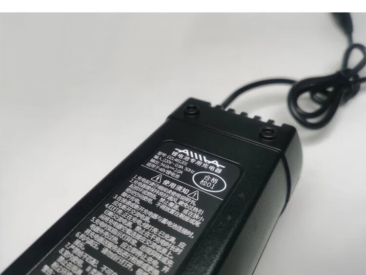 原厂爱玛电动车专用锂充电器原装48v12a小乐购春生智跑带风扇散热