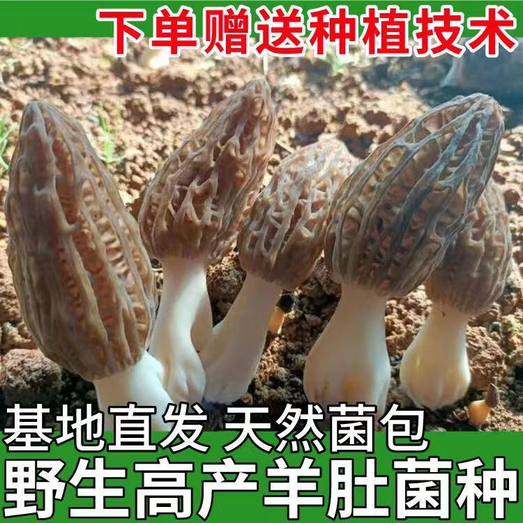 529e7f88-babb-49b5-9964-17f117417a00.jpe