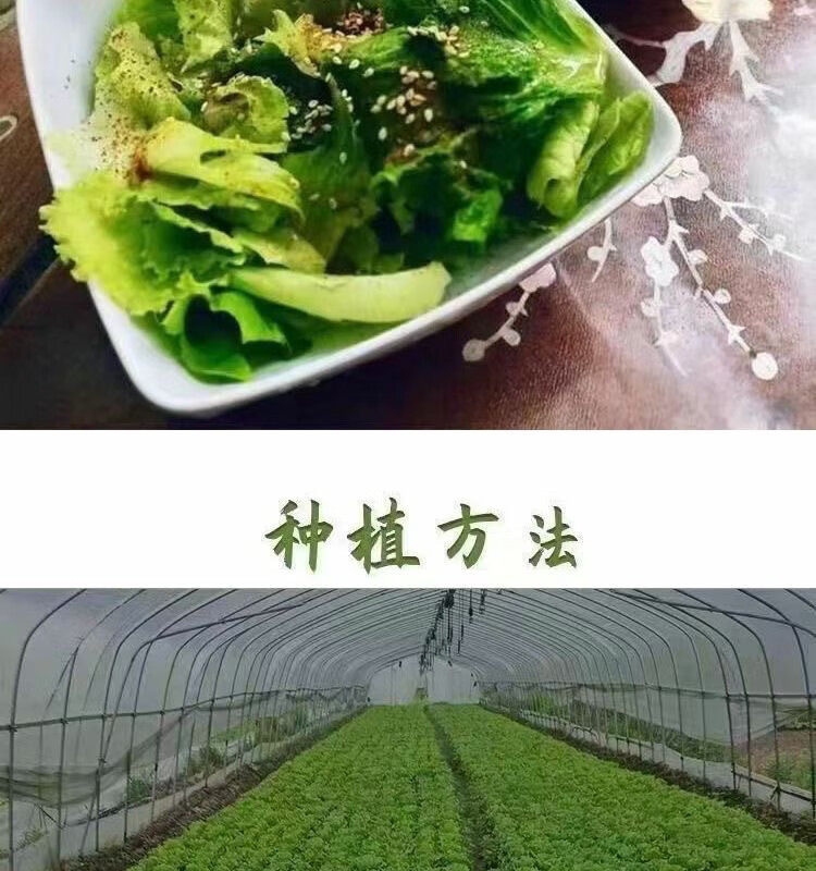 8cce437b0dccf3e3.jpg