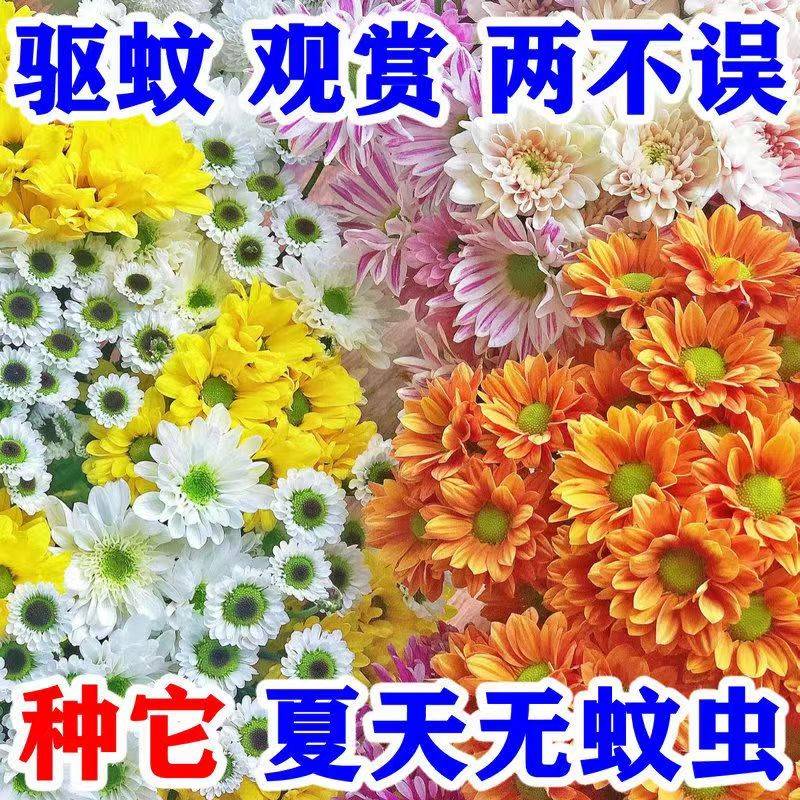 e1947358df6f2efe.jpg