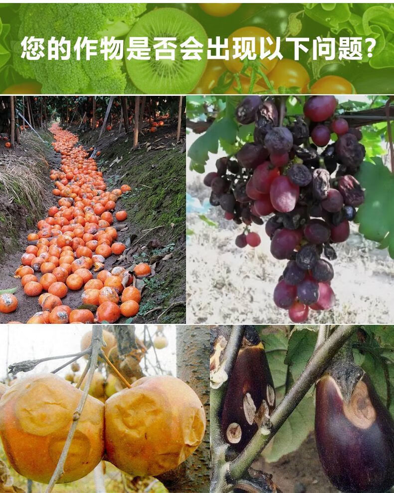 f5fd05b94fb1dec2.jpg