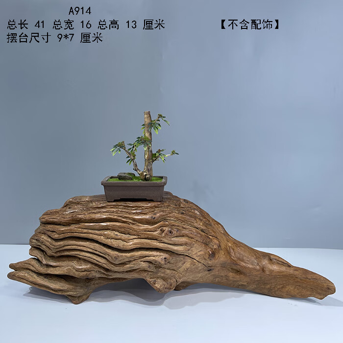 563bd10593d7ad8e.jpg