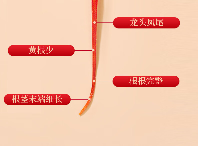 b874746cf5b519e2.jpg