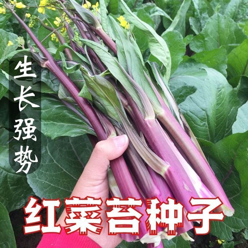 739dac9cc8d21c80.jpg