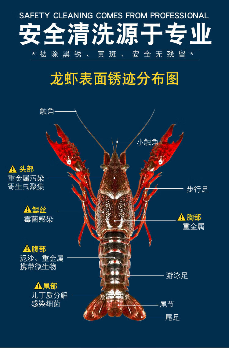 洗虾粉小龙虾清洗不死虾食用安全生物除锈酶食用柠檬酸红色500克包装