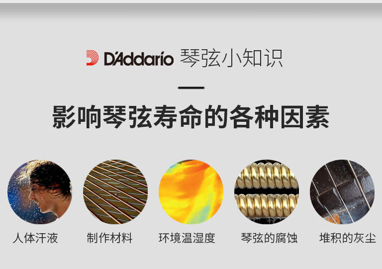 95f912b5d937b00e.jpg