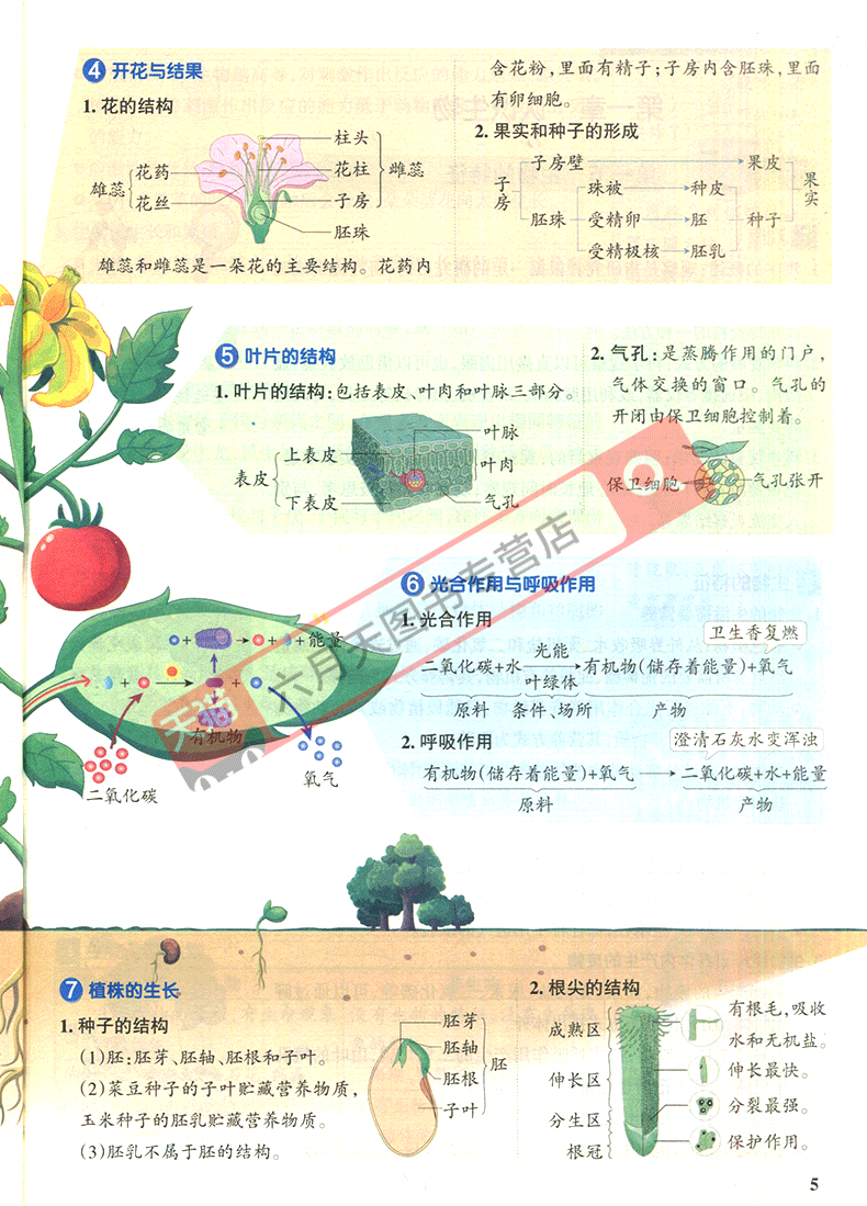 64558dae87bac788.png