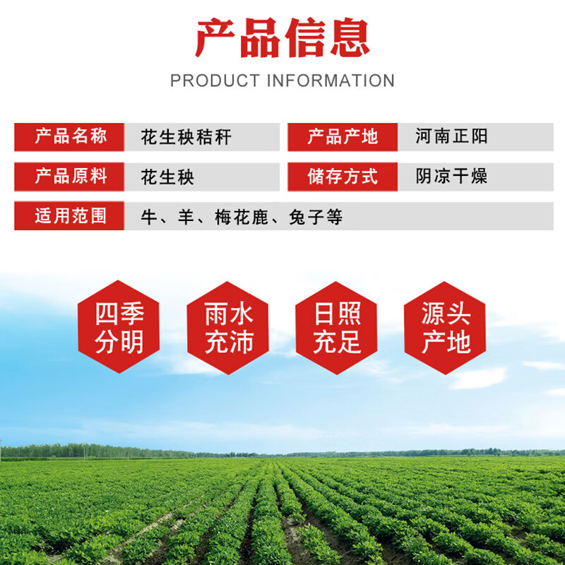 af45a069e195d3b6.jpg