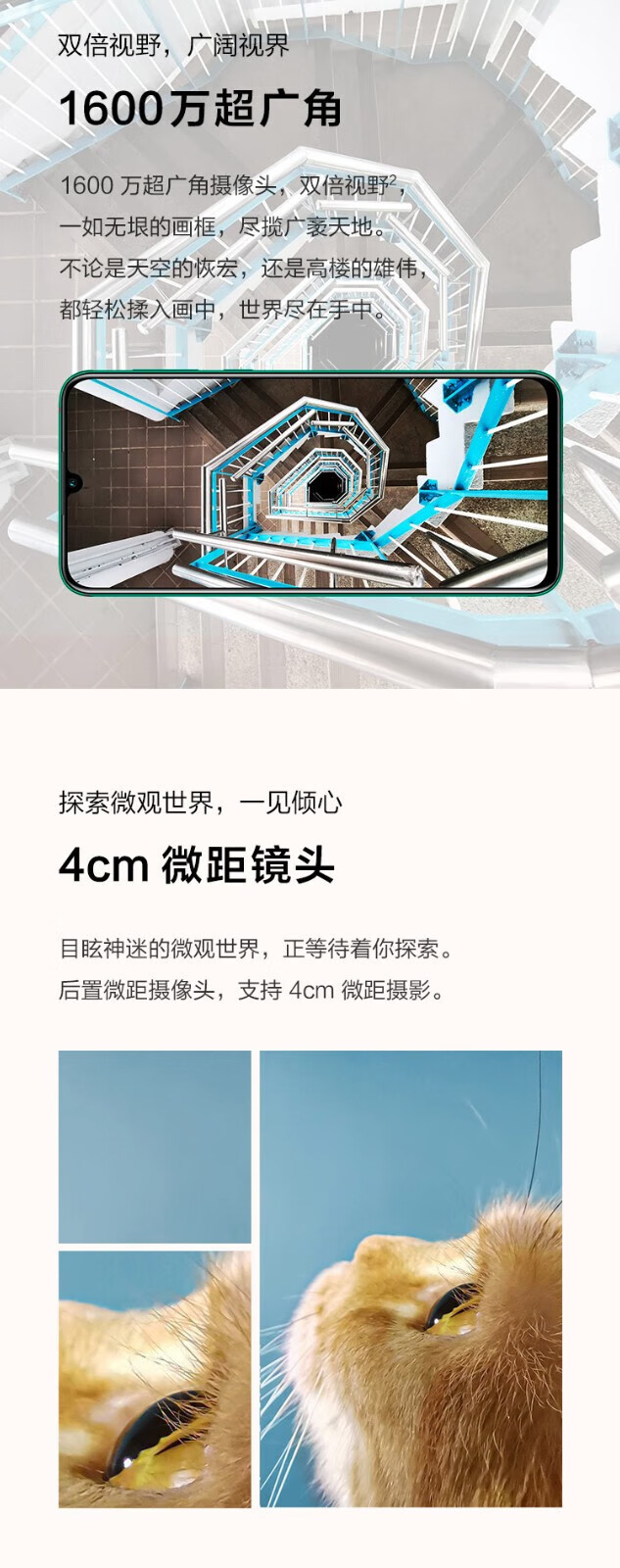 c61edf93f47d3b5e.jpg