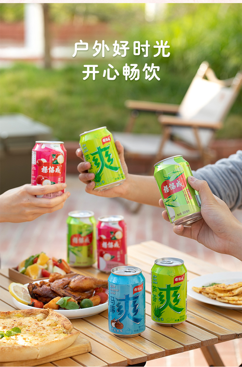 杨协成荔枝水风味饮料果味果肉果汁饮料整箱300ml*24瓶装 荔枝水24罐