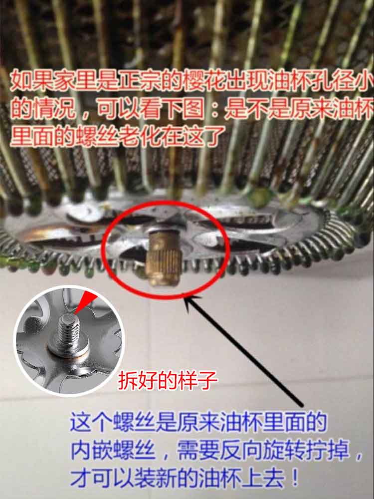 51293598c43cafbd.jpg