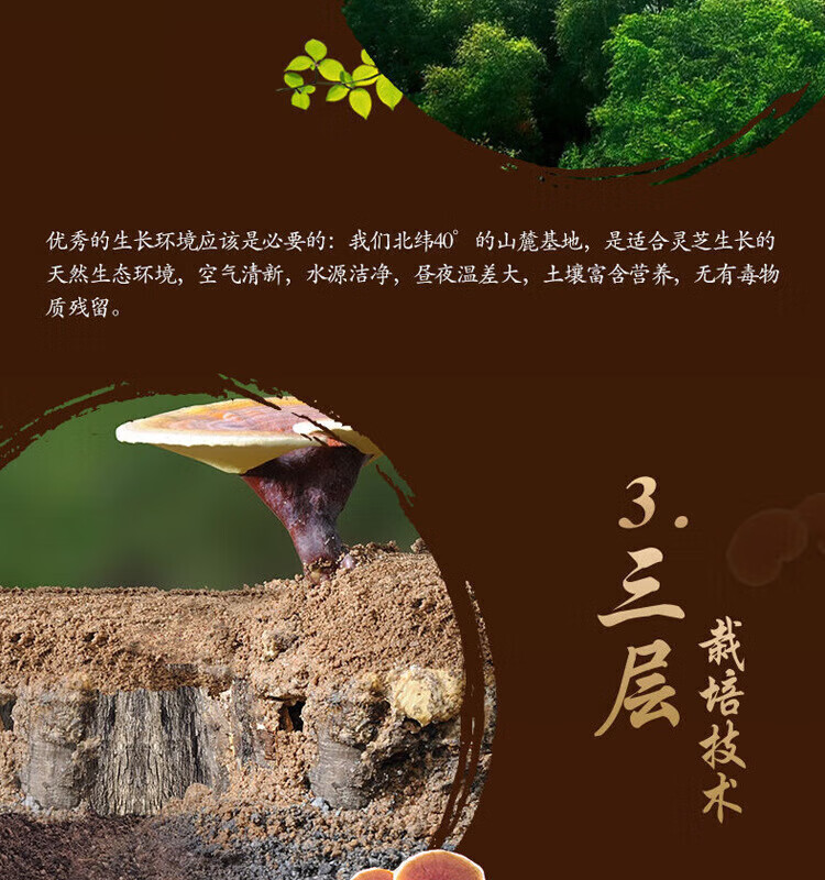 0fdbf5c2f026275b.jpg