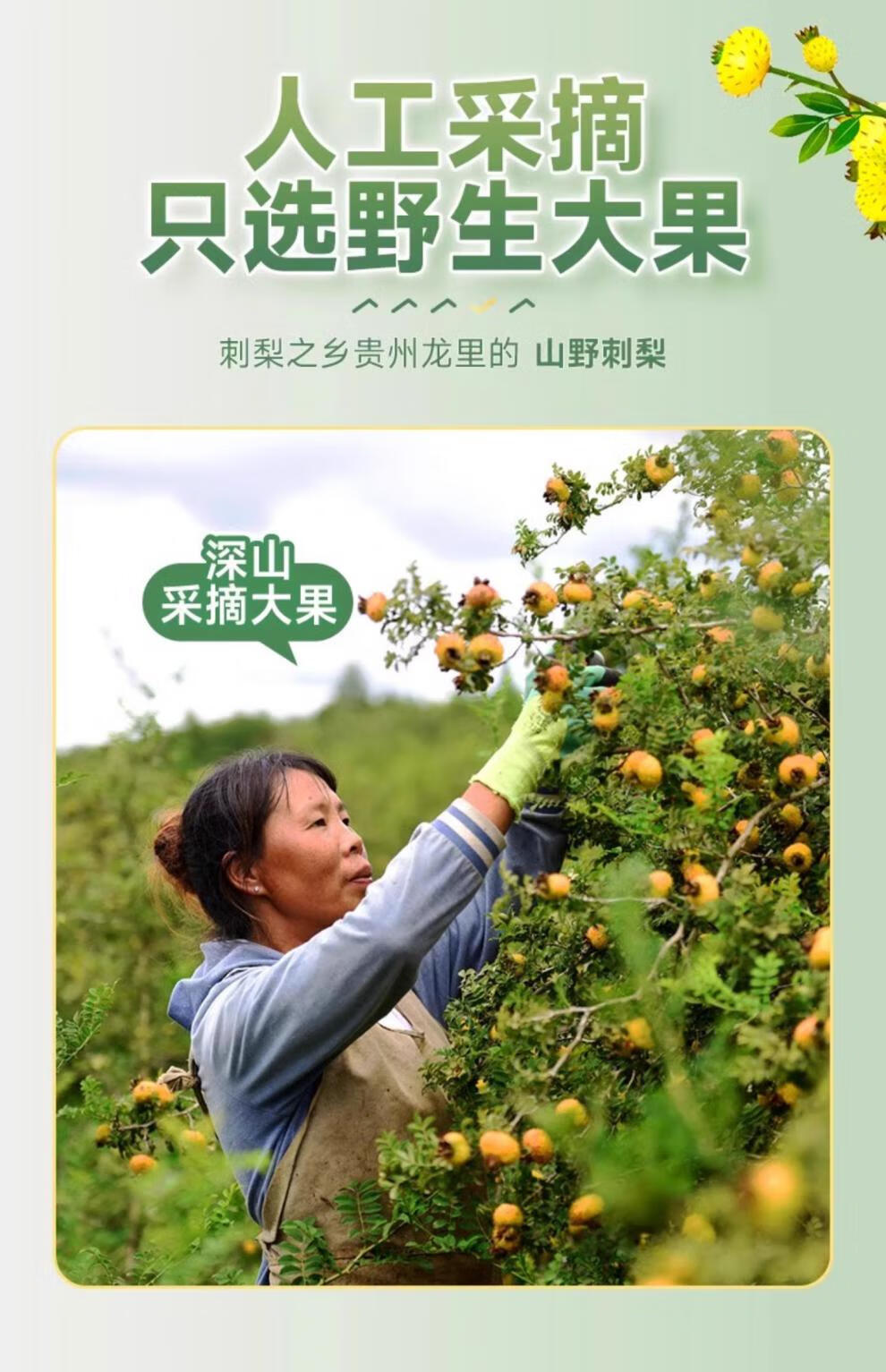 cbacfbe47f8cb7cc.jpg