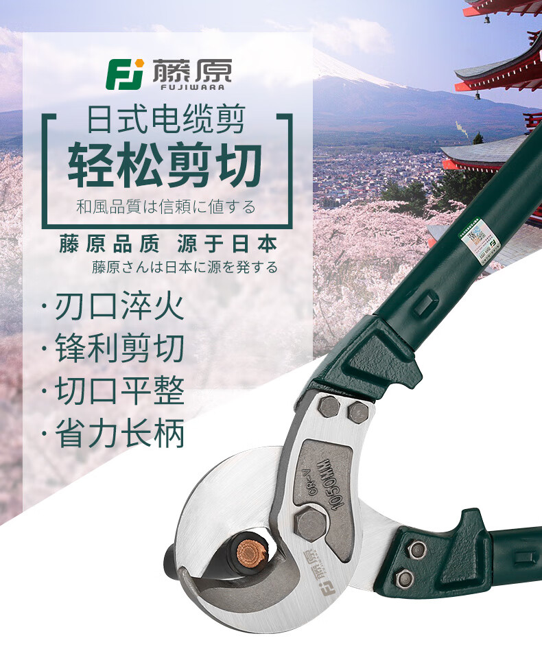 30850097-1ffd-4698-a4d2-52849d615867.jpe