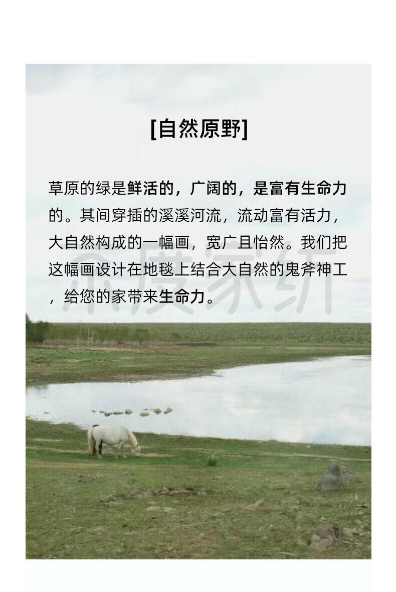 fb226e26ad5909bc.jpg