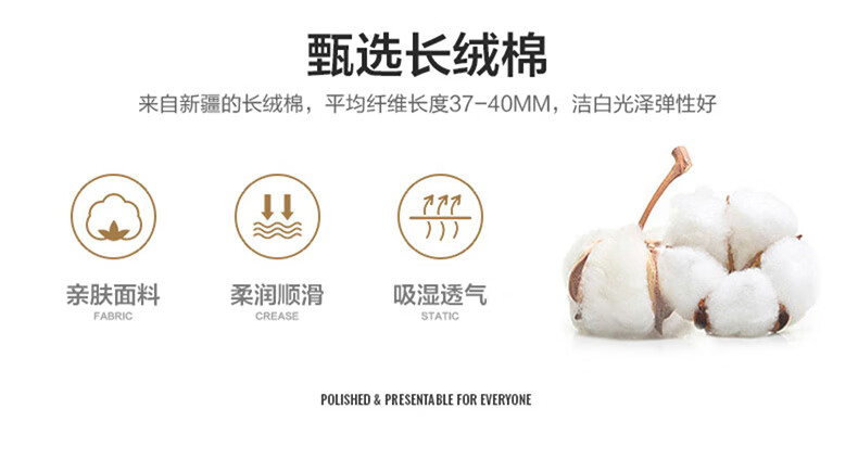 ff8f8dbd893a85ed.jpg
