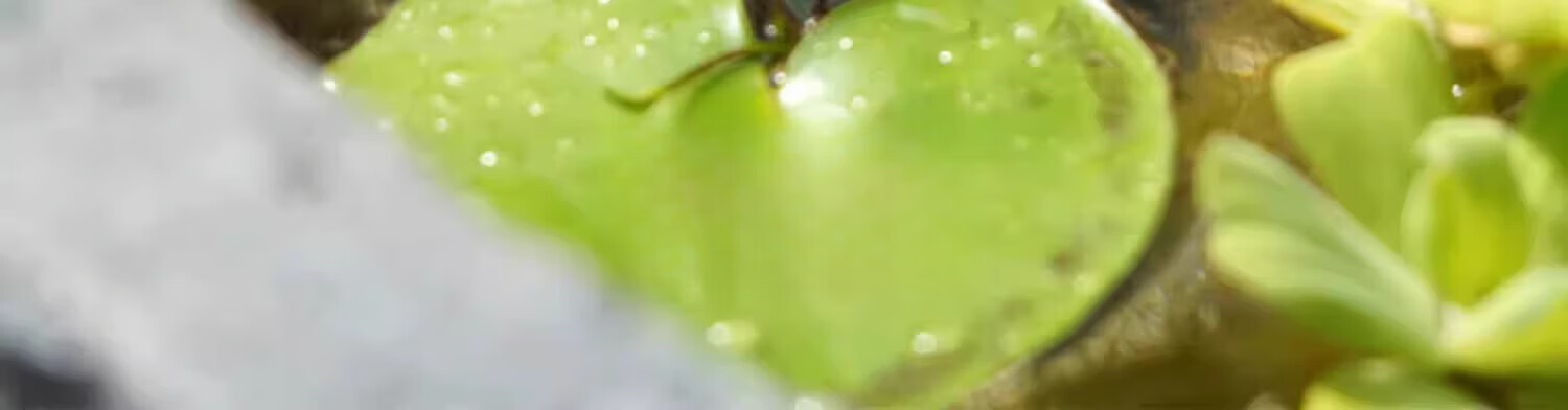 9c018c49f3818df9.jpg