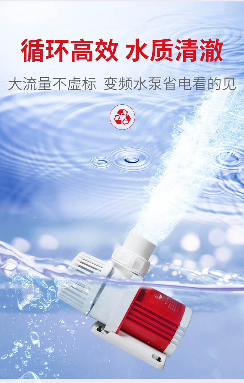 3b5078ff6a2a1f79.jpg