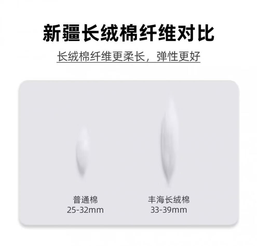 d809cc509eb8ee27.jpg